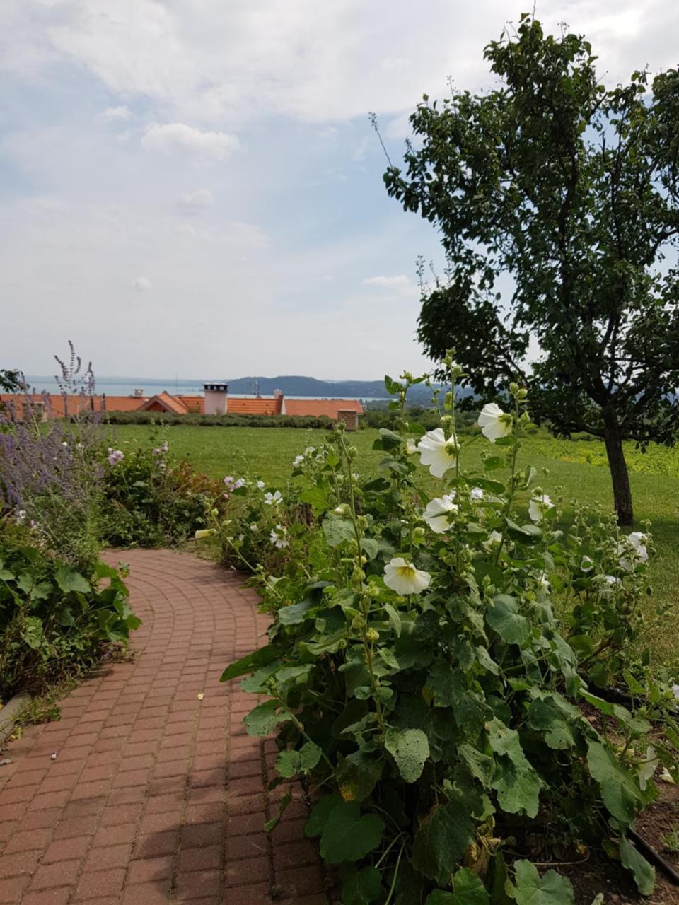 Koczor Winery & Guesthouse Balatonfüred Esterno foto