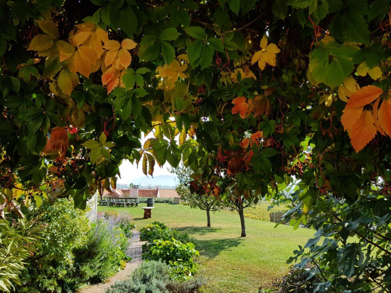 Koczor Winery & Guesthouse Balatonfüred Esterno foto